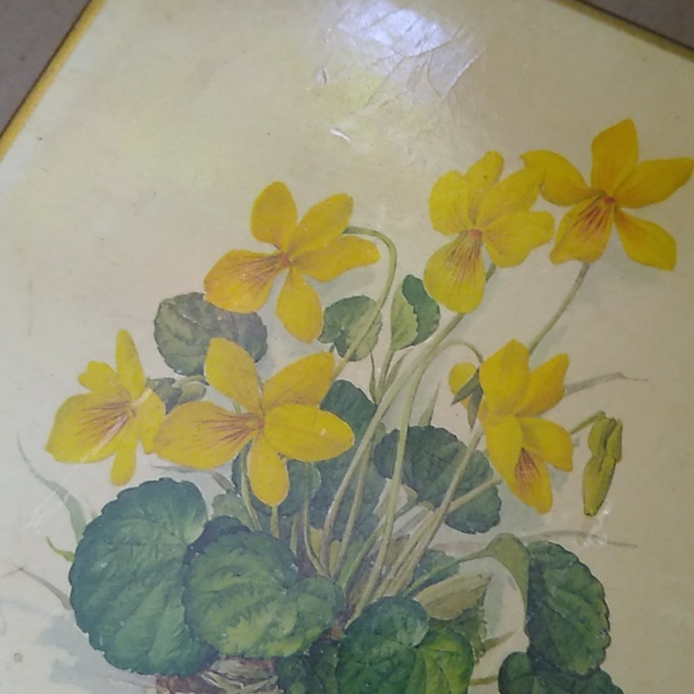 Vintage Mottahedeh wood flower box - Picture 11 of 11